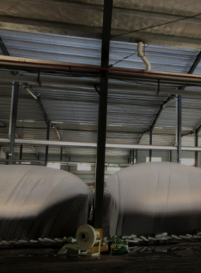 龙8头号玩家(国际集团)官方网站